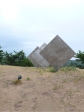 P1090537.JPG